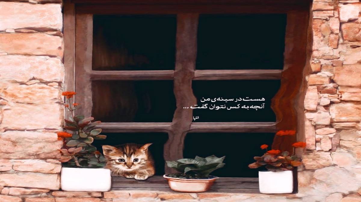 سپردم دل به دستانت تویی پایان این بن بست با صدای زن